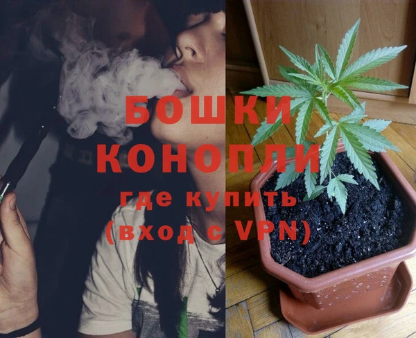 стафф Заводоуковск