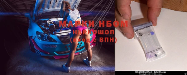 стафф Заводоуковск