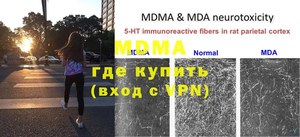 стаф Магас