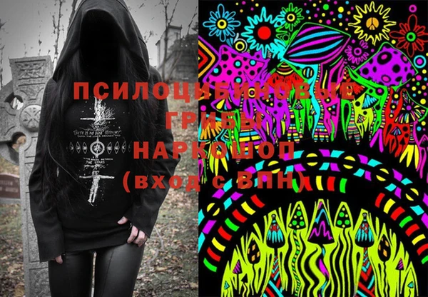 стафф Заводоуковск