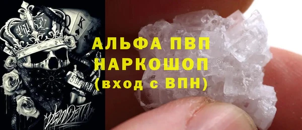 стафф Заводоуковск
