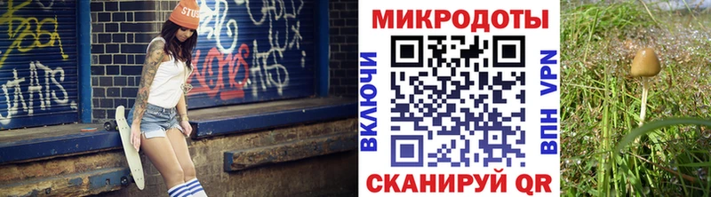 Галлюциногенные грибы GOLDEN TEACHER  закладка  Семёнов 